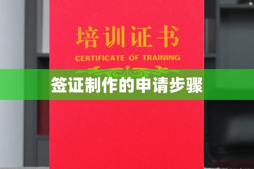 湖口签证制作的申请步骤